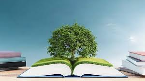 The Role of Technology in Sustainability
